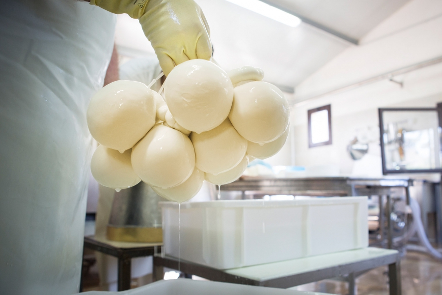 Cheese making process